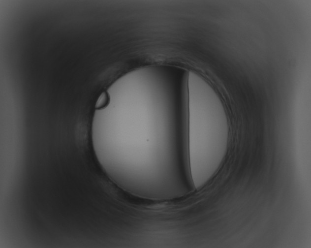 X0000100910505200806241054