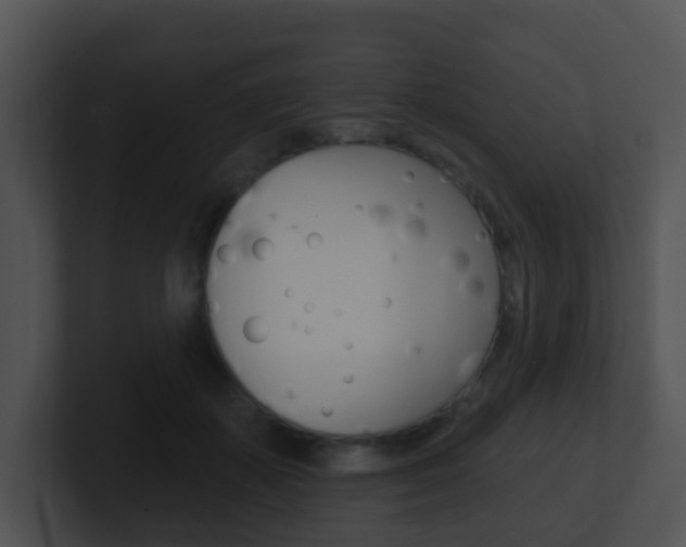X0000100910507200806241054