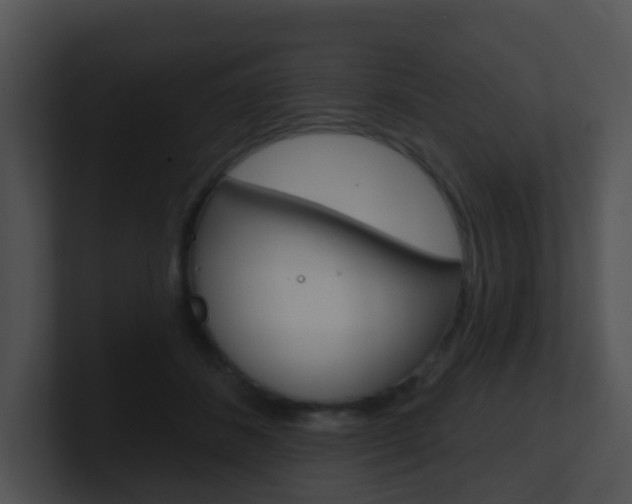X0000100910508200806241054