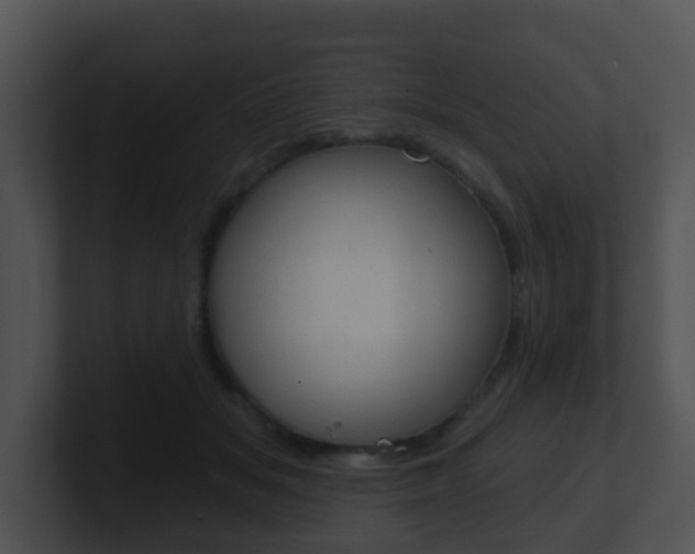 X0000100910509200806241054