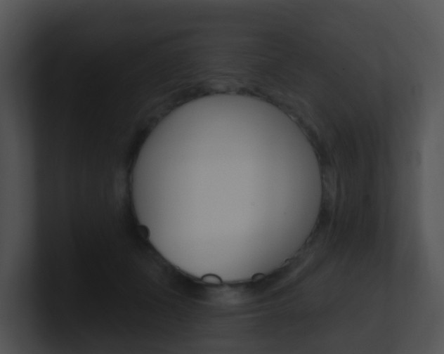 X0000100910511200806241054
