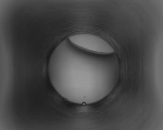 X0000100910513200806241054