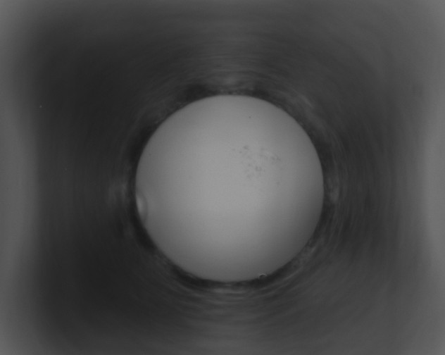 X0000100910515200806241054