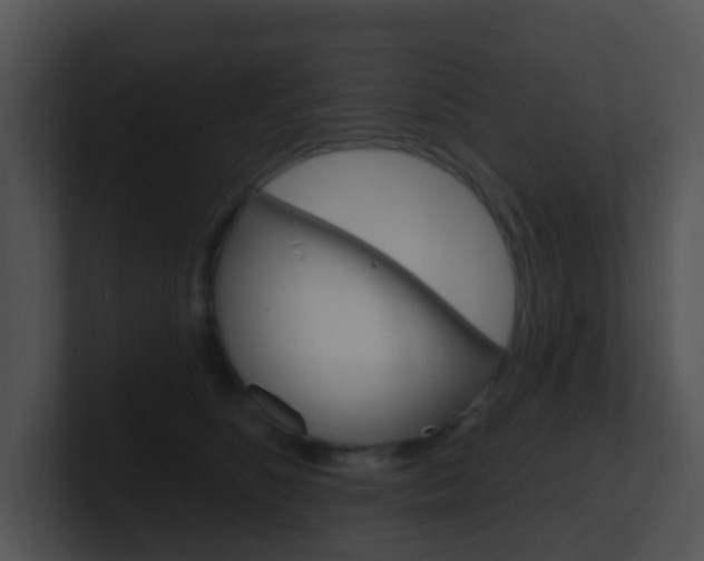 X0000100910516200806241053