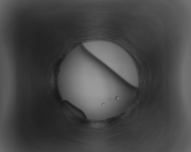 X0000100910520200806241053