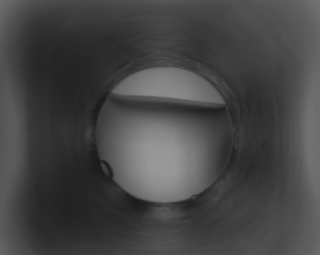 X0000100910521200806241053