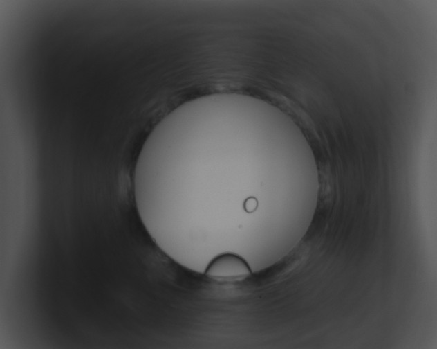 X0000100910523200806241053
