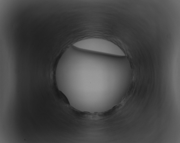 X0000100910524200806241053