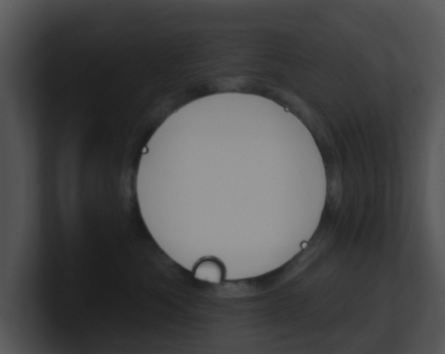 X0000100910525200806241053