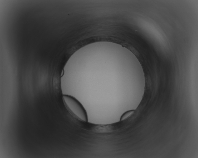 X0000100910526200806241053