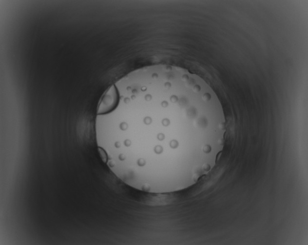 X0000100910527200806241053