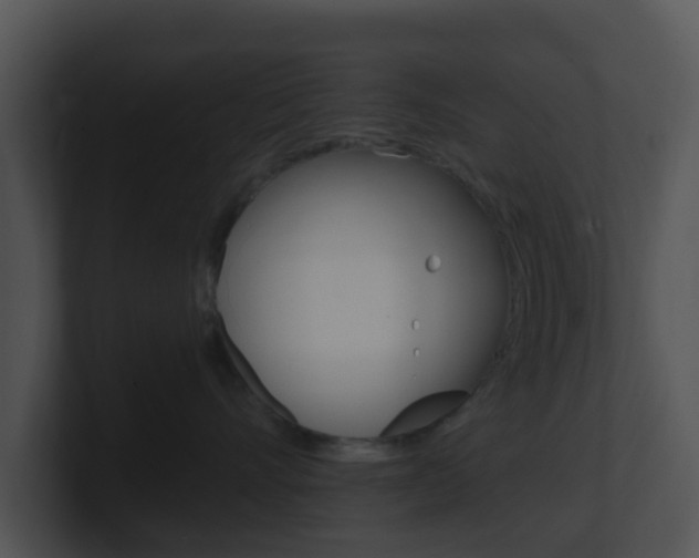 X0000100910528200806241053