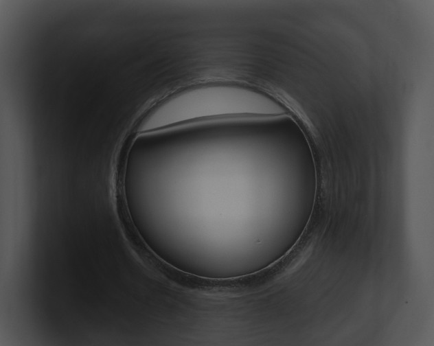 X0000100910530200806241053