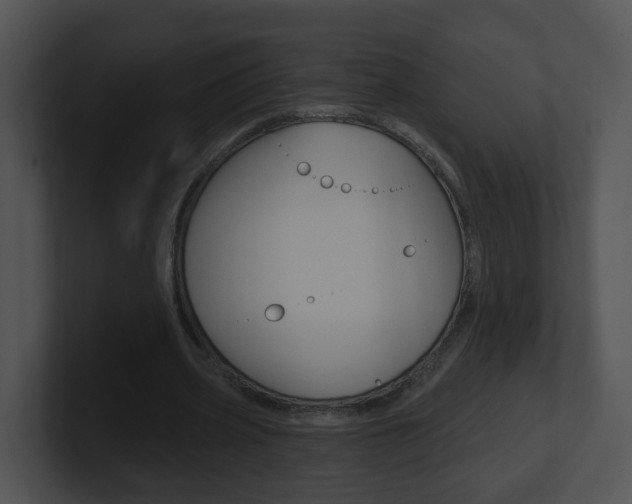 X0000100910533200806241053
