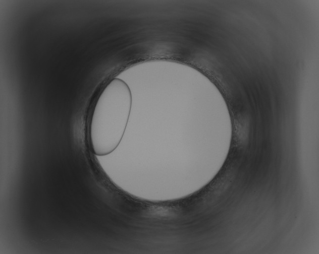 X0000100910534200806241053