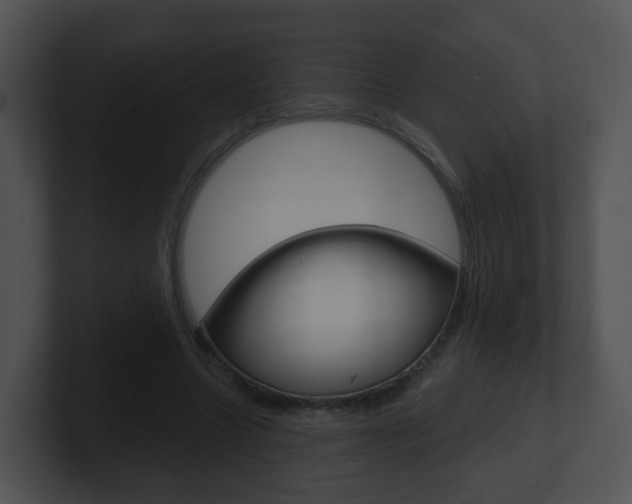 X0000100910538200806241053