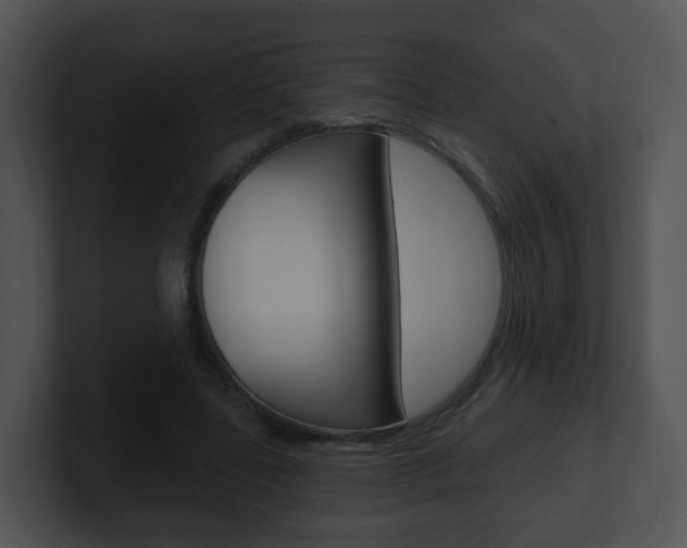 X0000100910539200806241053
