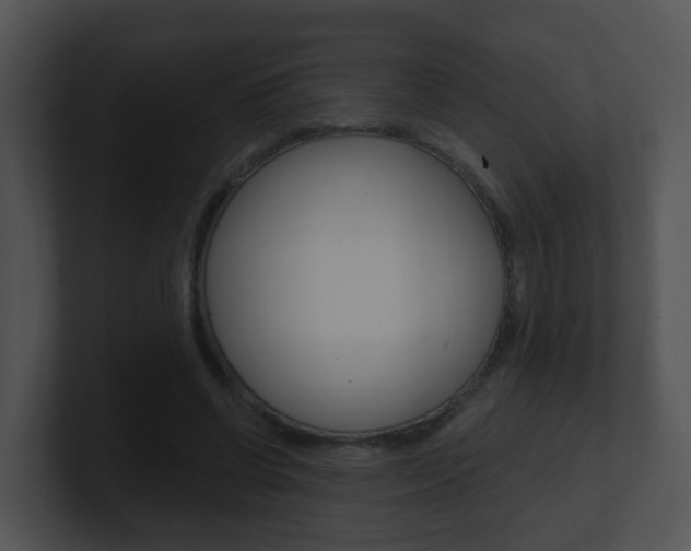 X0000100910542200806241053