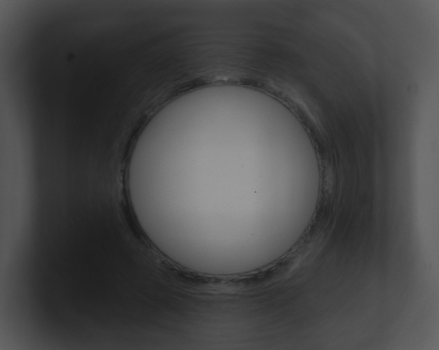 X0000100910545200806241053