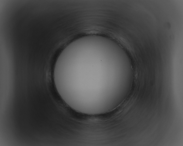 X0000100910547200806241053
