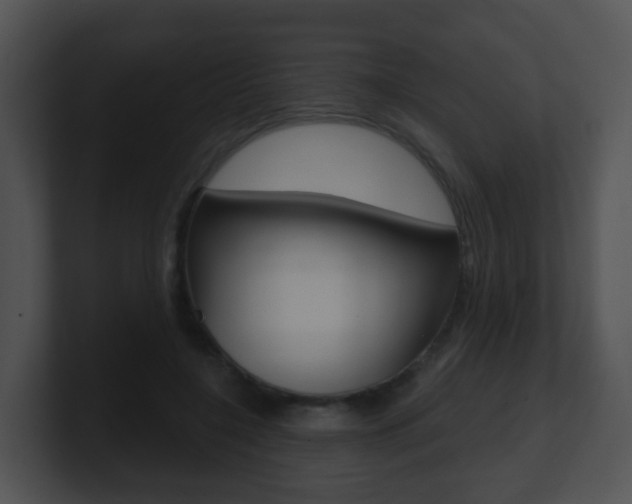 X0000100910548200806241053