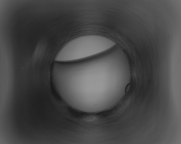 X0000100910551200806241053