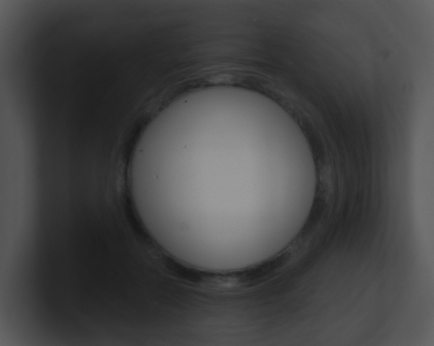 X0000100910554200806241053
