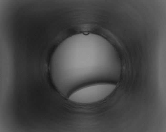 X0000100910555200806241053