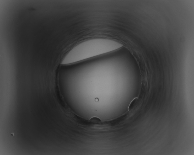 X0000100910556200806241053
