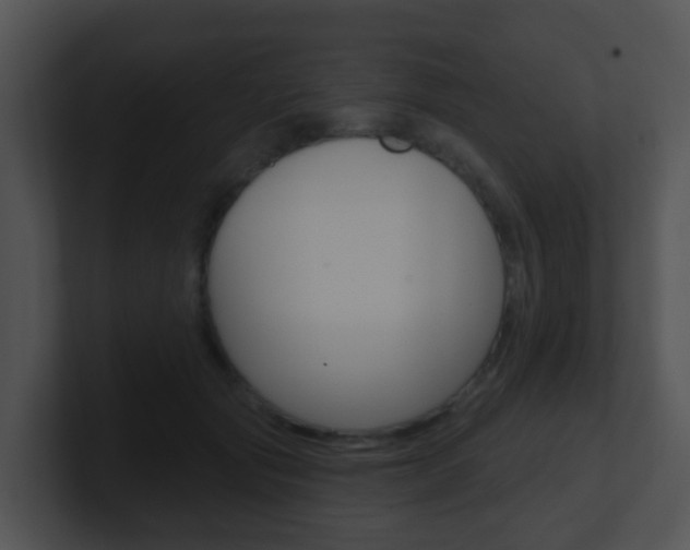X0000100910557200806241053