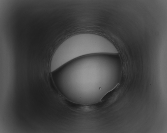 X0000100910558200806241053