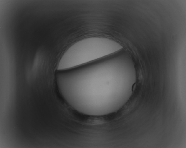 X0000100910559200806241053