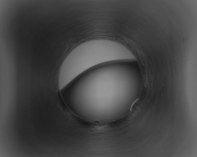 X0000100910560200806241053