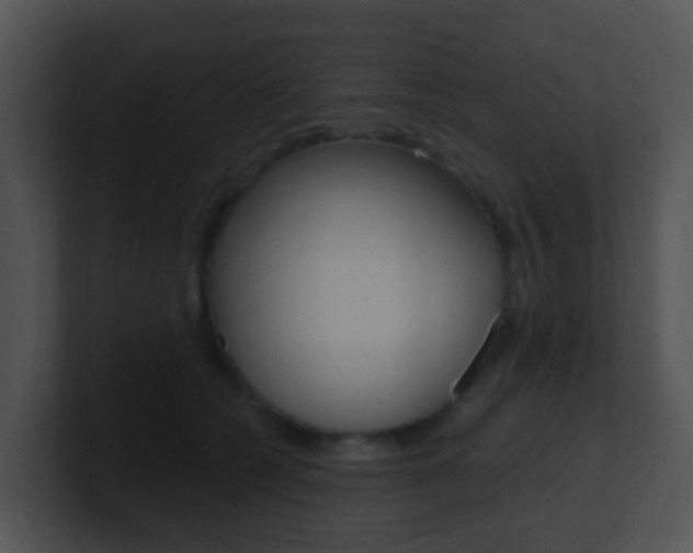 X0000100910562200806241053