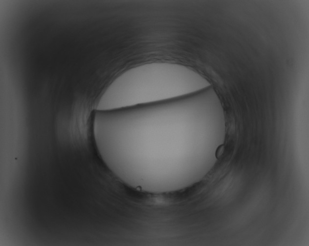 X0000100910565200806241053
