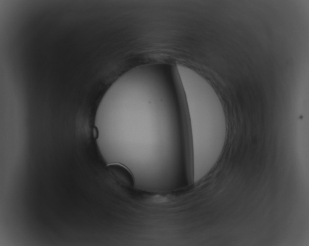X0000100910566200806241053