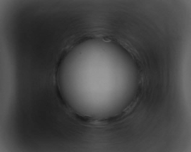 X0000100910568200806241053