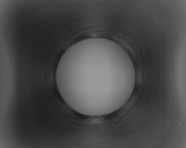 X0000100910569200806241053
