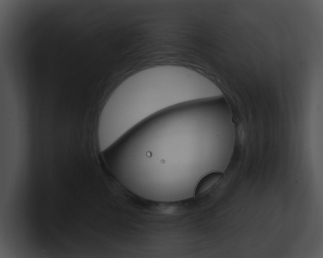 X0000100910570200806241053