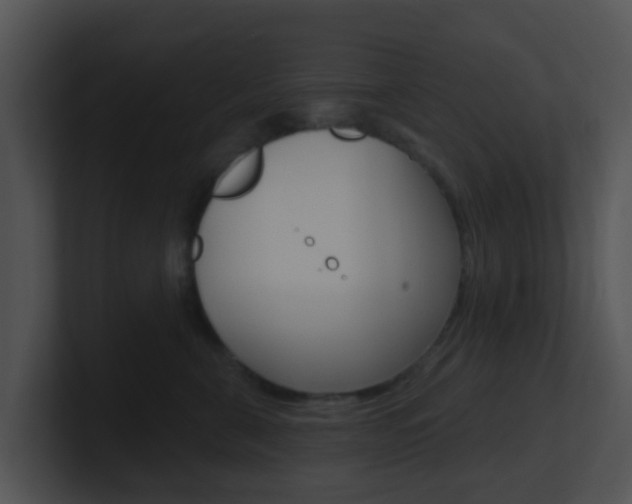 X0000100910571200806241053