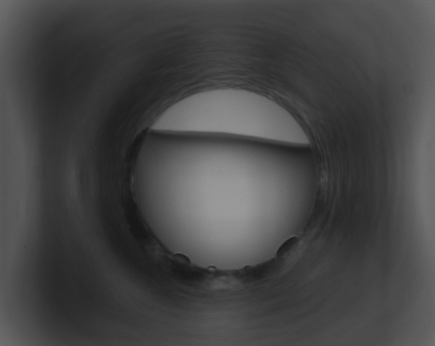 X0000100910572200806241053