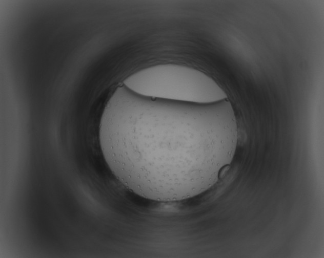 X0000100910573200806241053