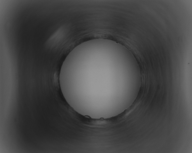 X0000100910575200806241053