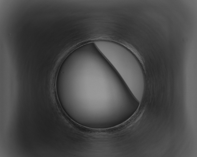 X0000100910577200806241053