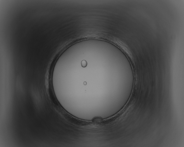 X0000100910578200806241053