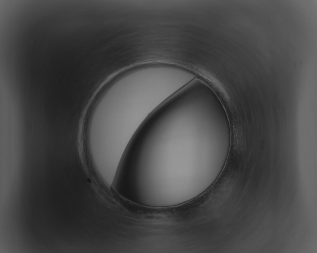 X0000100910580200806241053