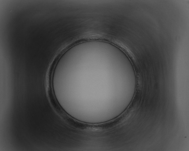 X0000100910582200806241053