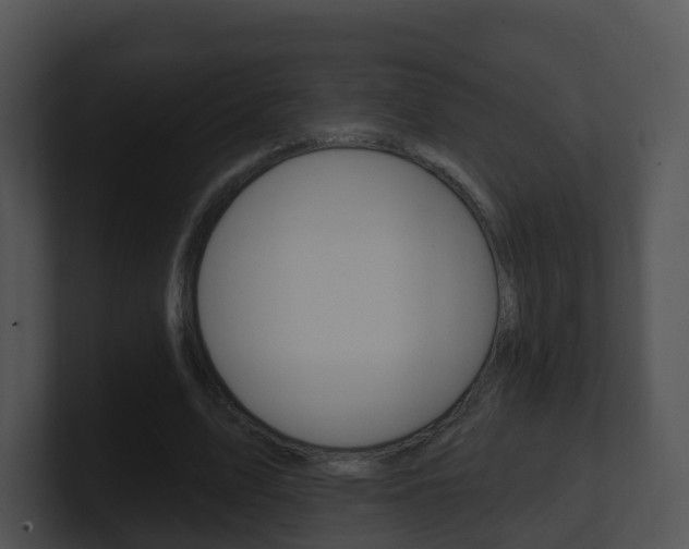 X0000100910583200806241053