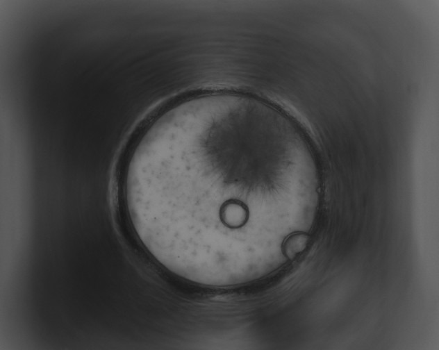 X0000100910584200806241053