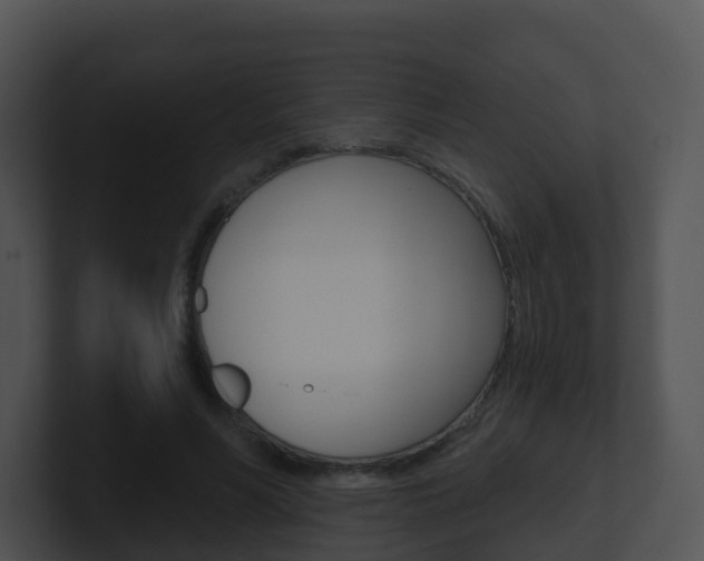 X0000100910590200806241053